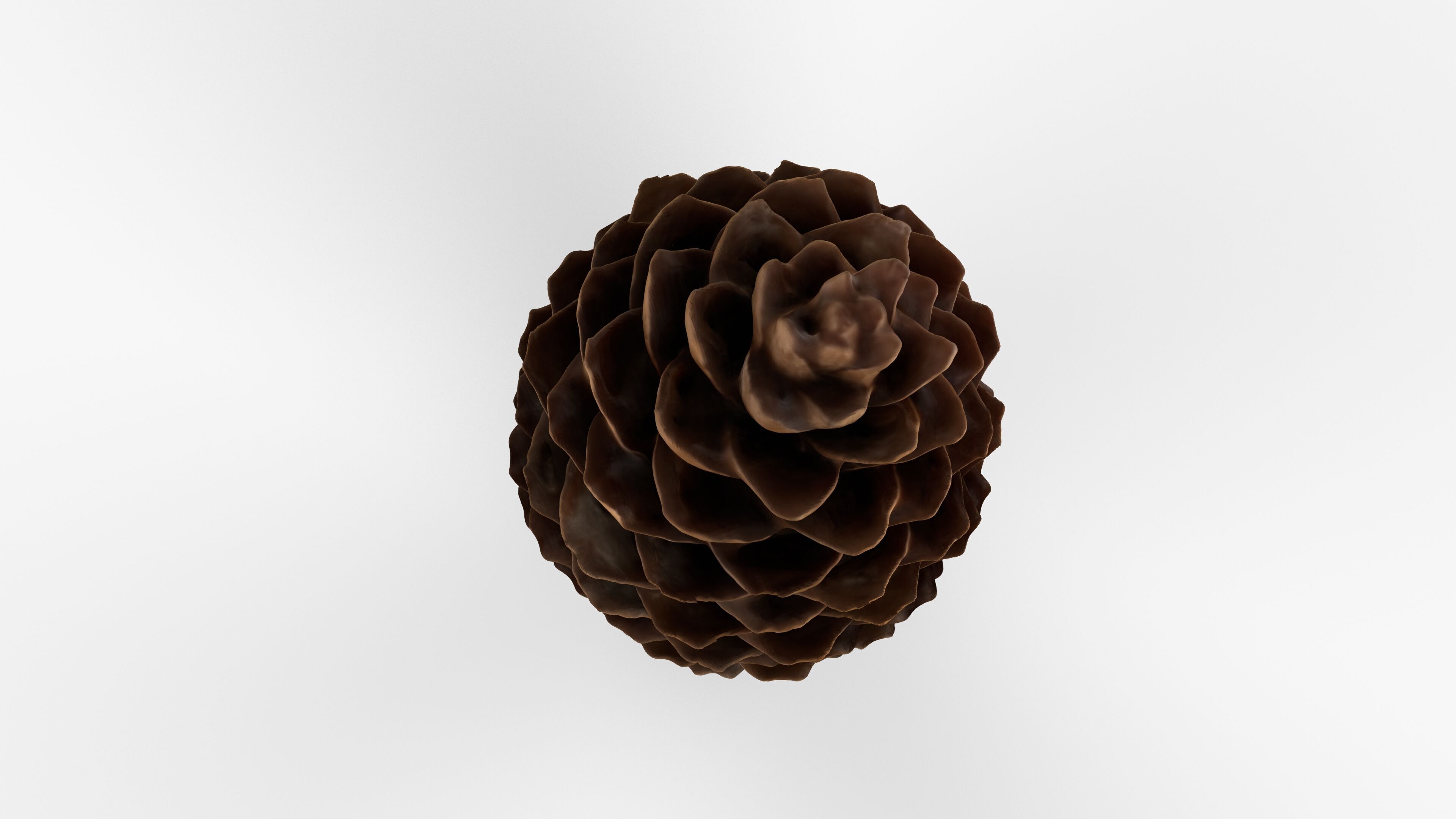 Photorealistic 3D scan of pine conifer cone Low-poly 3D model_9