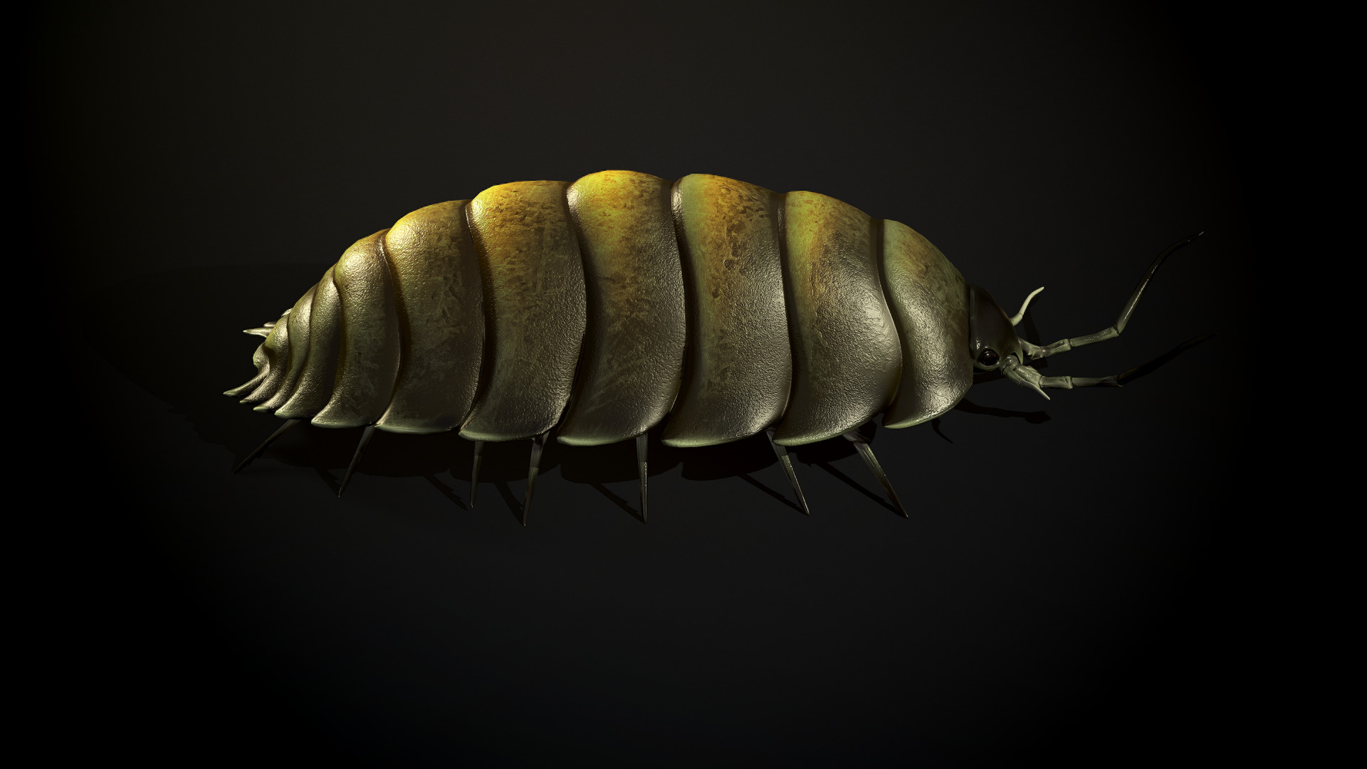 Insects Beetle1 Pack - Game Ready Low-poly 3D model Low-poly 3D model_23