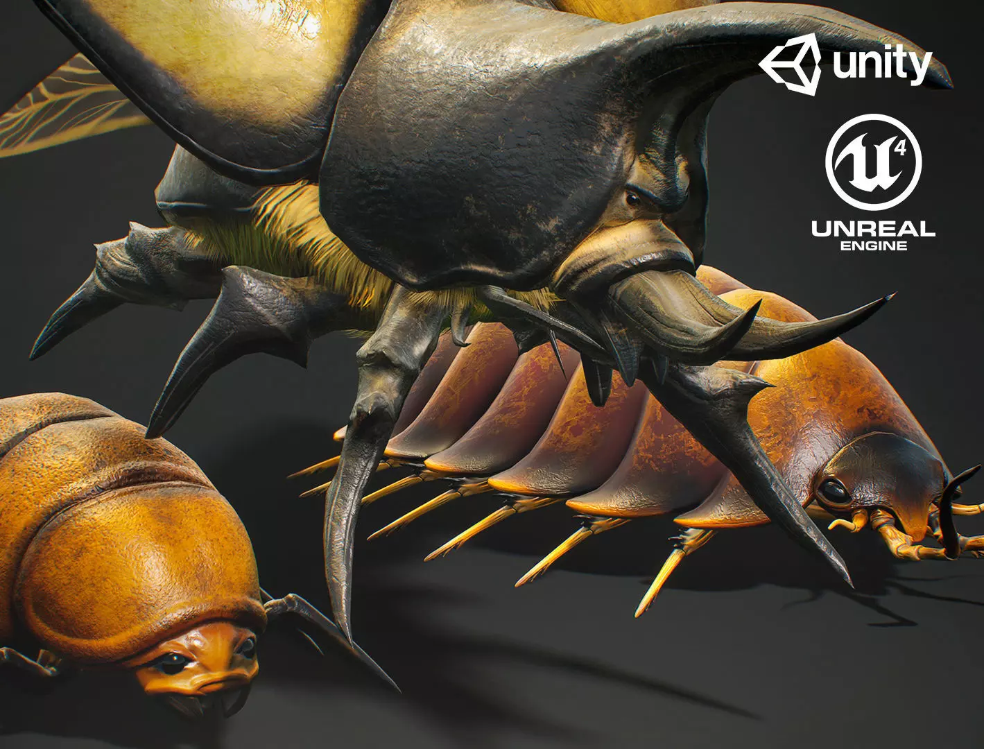 Insects Beetle1 Pack - Game Ready Low-poly 3D model Low-poly 3D model_0