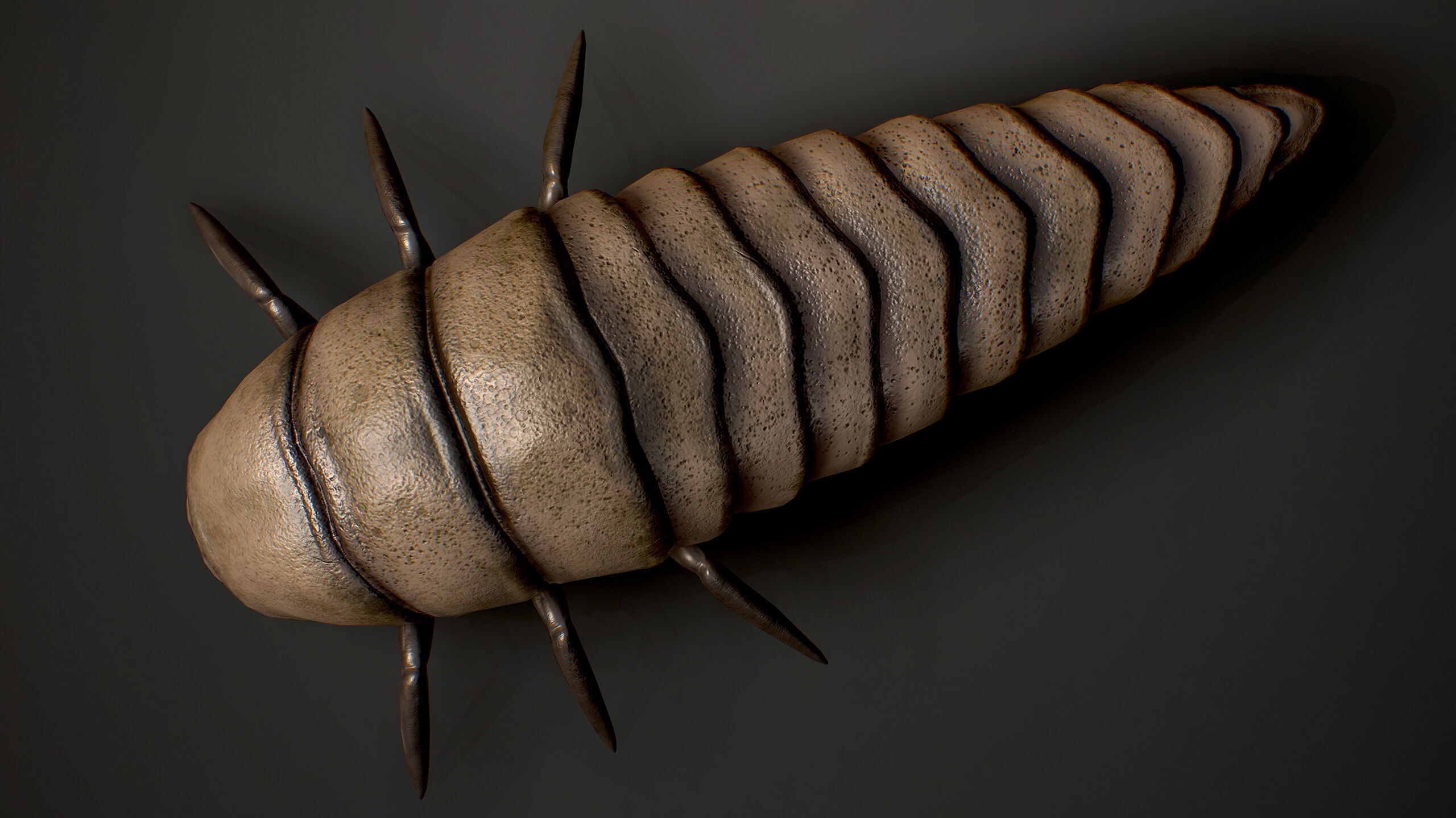 Insects Beetle1 Pack - Game Ready Low-poly 3D model Low-poly 3D model_15