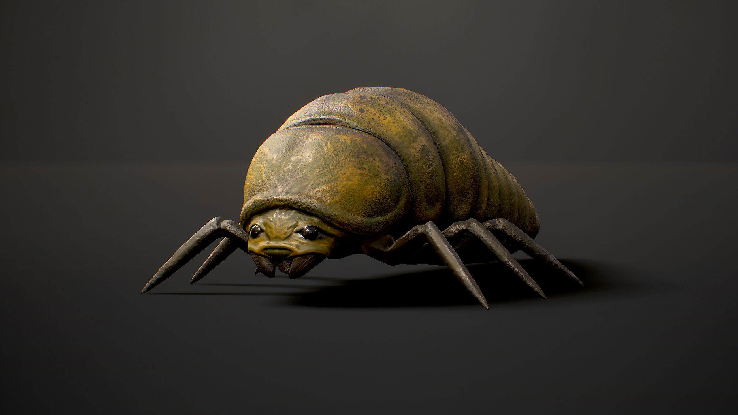 Insects Beetle1 Pack - Game Ready Low-poly 3D model Low-poly 3D model_10