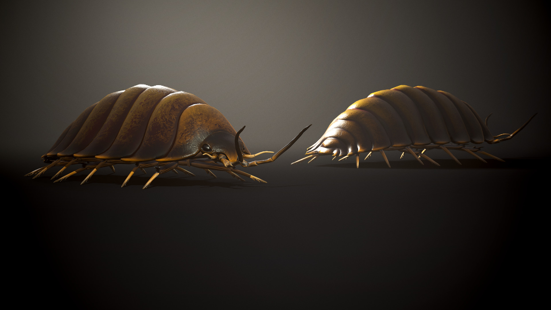 Insects Beetle1 Pack - Game Ready Low-poly 3D model Low-poly 3D model_20