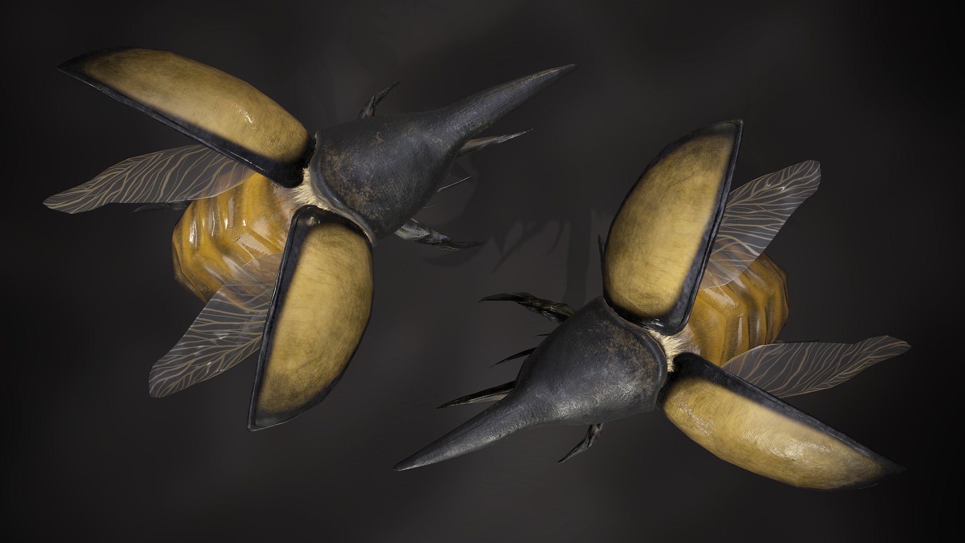 Insects Beetle1 Pack - Game Ready Low-poly 3D model Low-poly 3D model_3