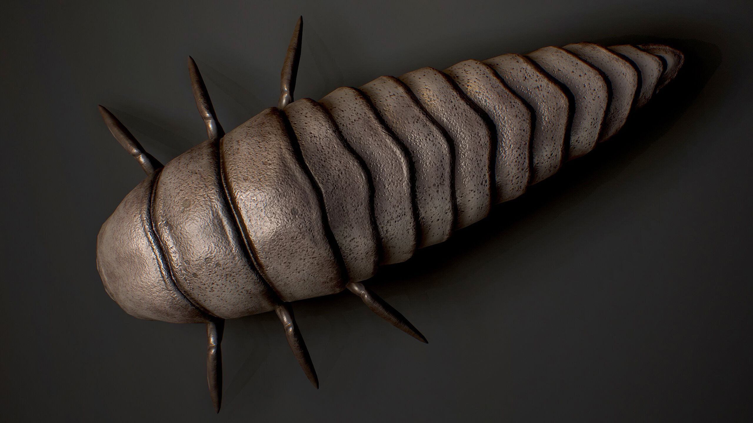 Insects Beetle1 Pack - Game Ready Low-poly 3D model Low-poly 3D model_18