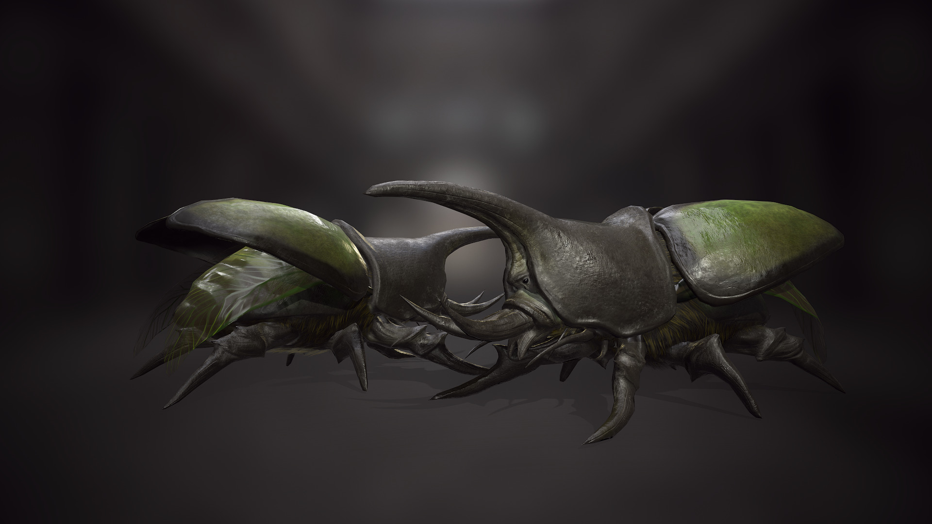 Insects Beetle1 Pack - Game Ready Low-poly 3D model Low-poly 3D model_6