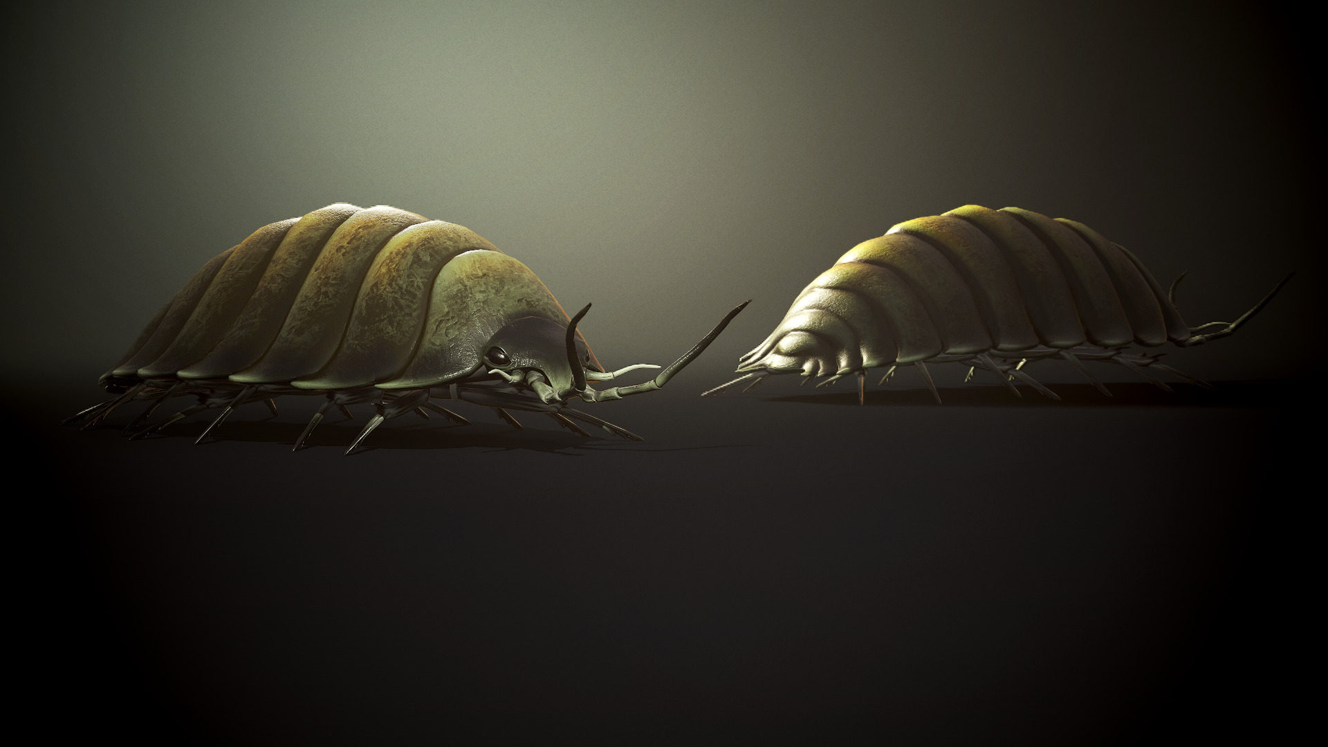Insects Beetle1 Pack - Game Ready Low-poly 3D model Low-poly 3D model_22