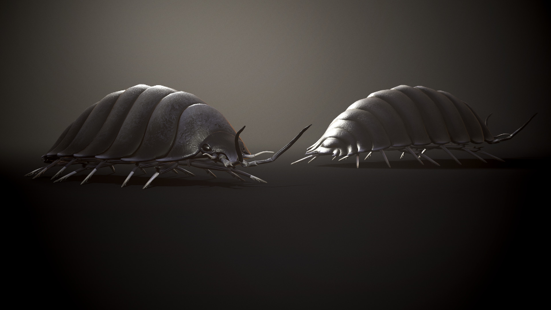 Insects Beetle1 Pack - Game Ready Low-poly 3D model Low-poly 3D model_25