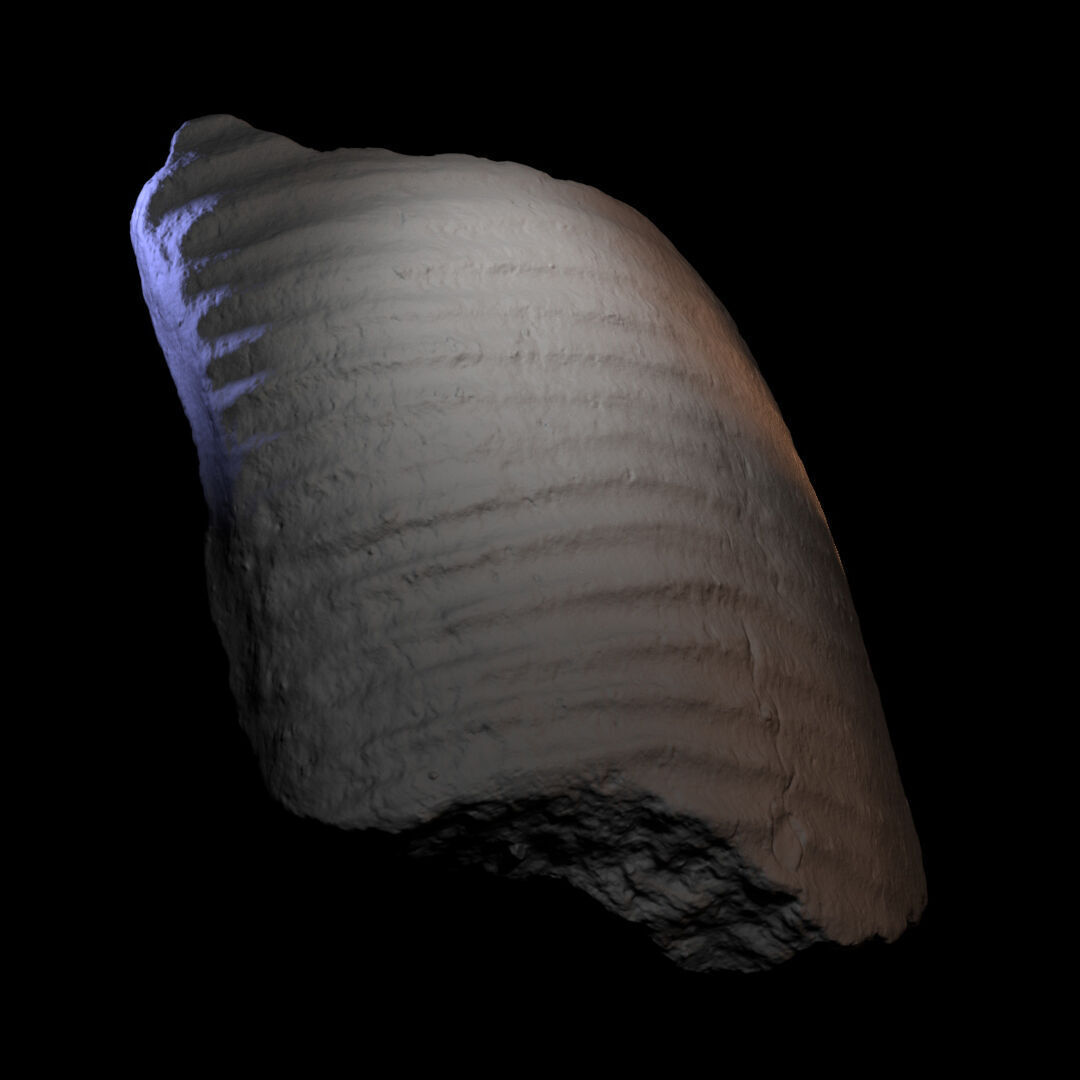 Historical object 022 3D print model_2