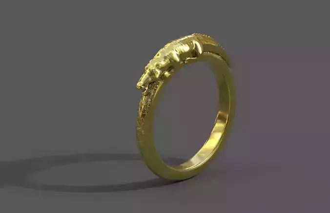 High-Quality 3D Ring Model