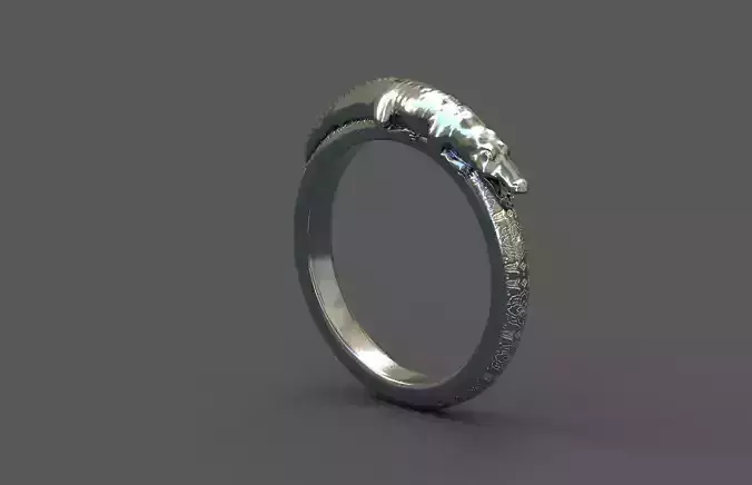 High-Quality 3D Ring Model