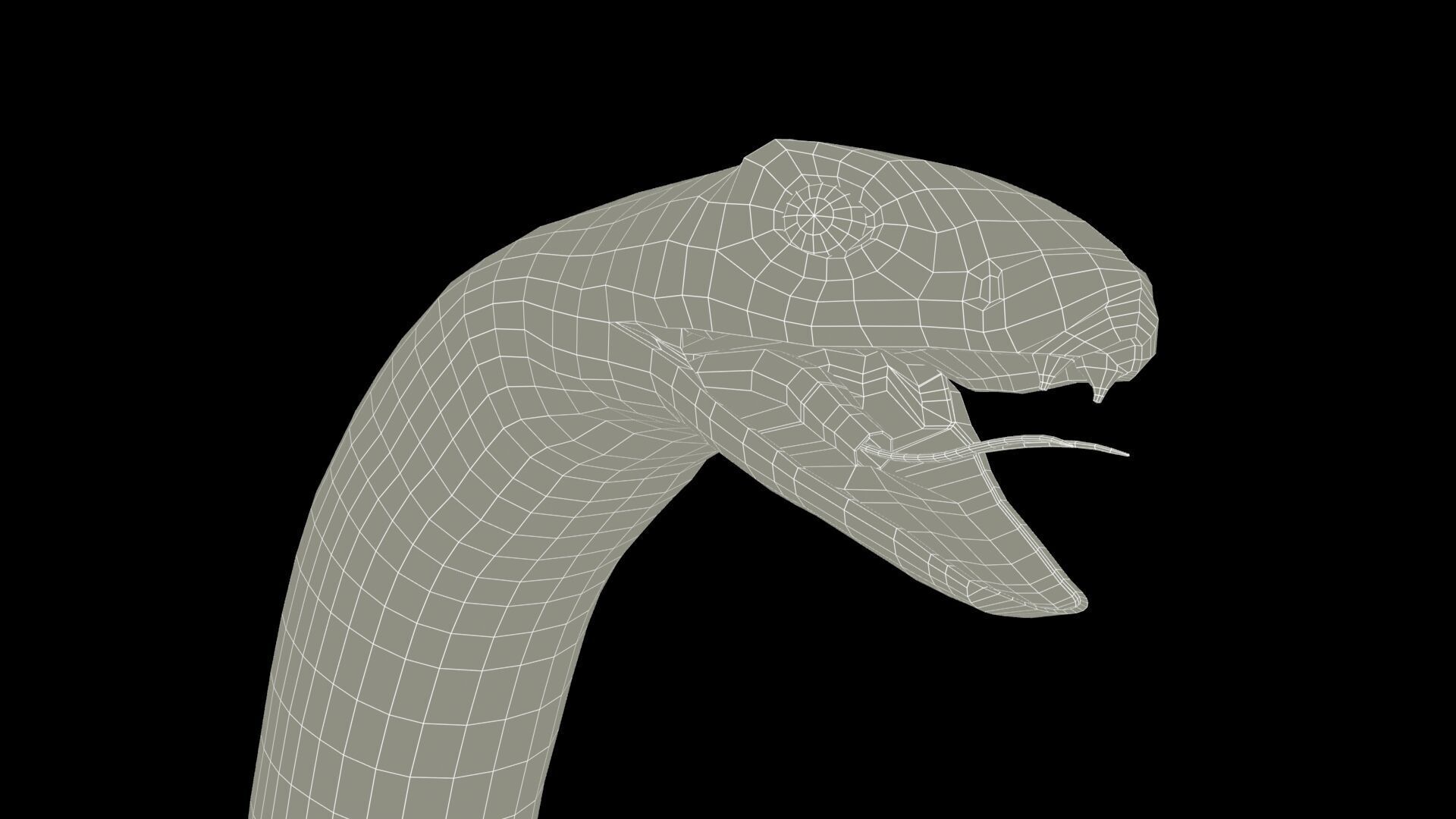 Snake Animated Low-poly 3D model_10