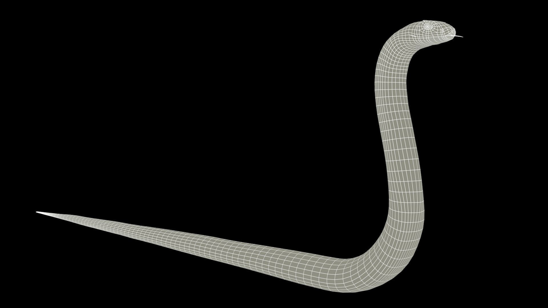 Snake Animated Low-poly 3D model_8