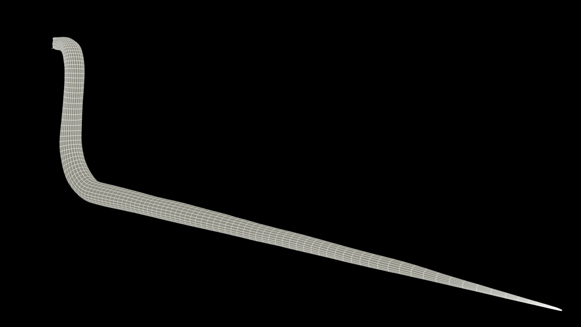 Snake Animated Low-poly 3D model_9