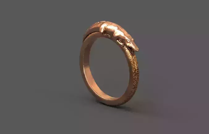 High-Quality 3D Ring Model