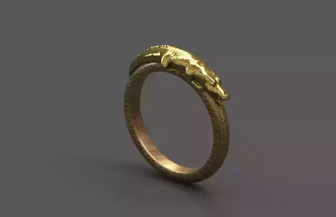 High-Quality 3D Ring Model