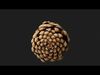 Photorealistic 3D scan of pine conifer cone Low-poly 3D model_1