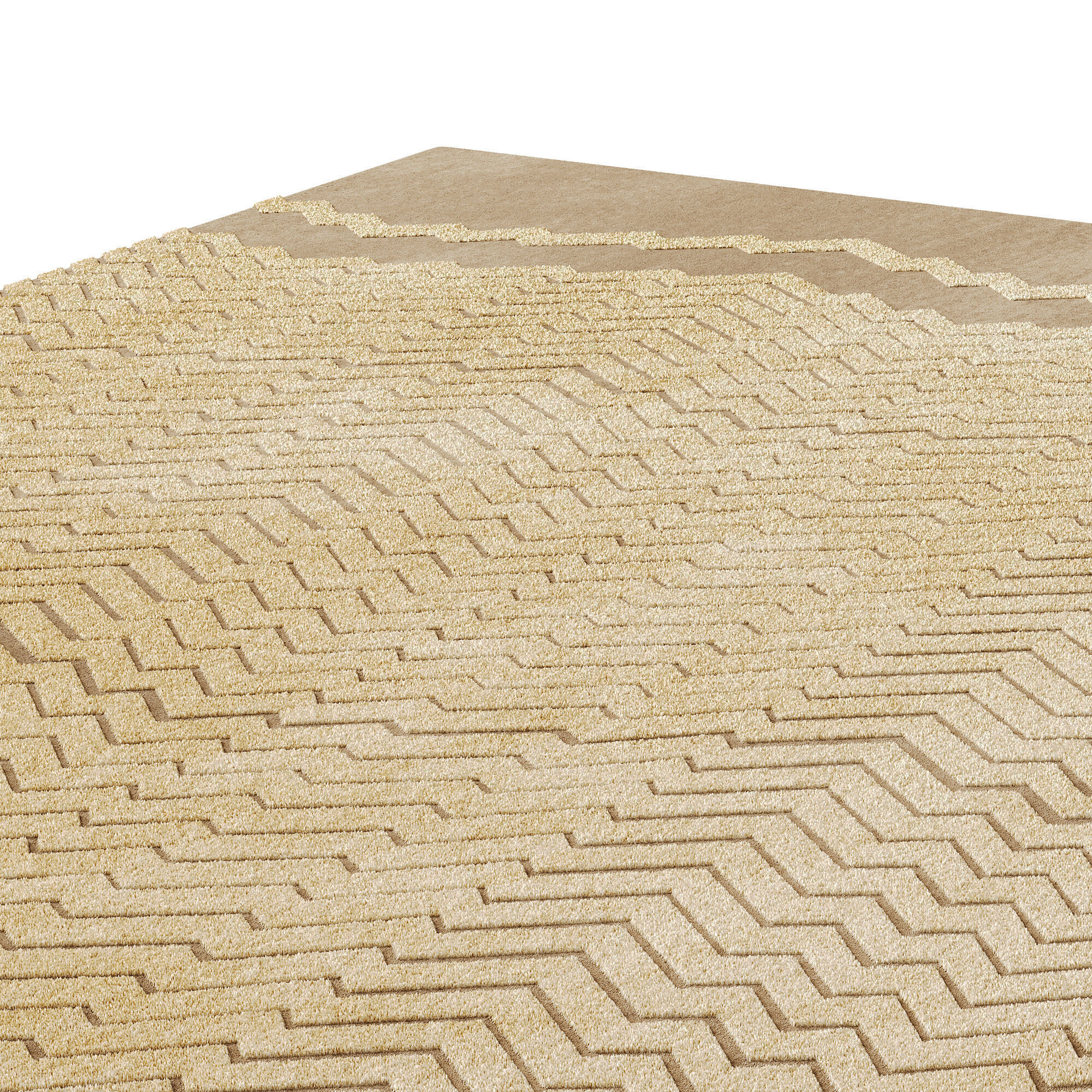 CODA RUG Low-poly 3D model_1