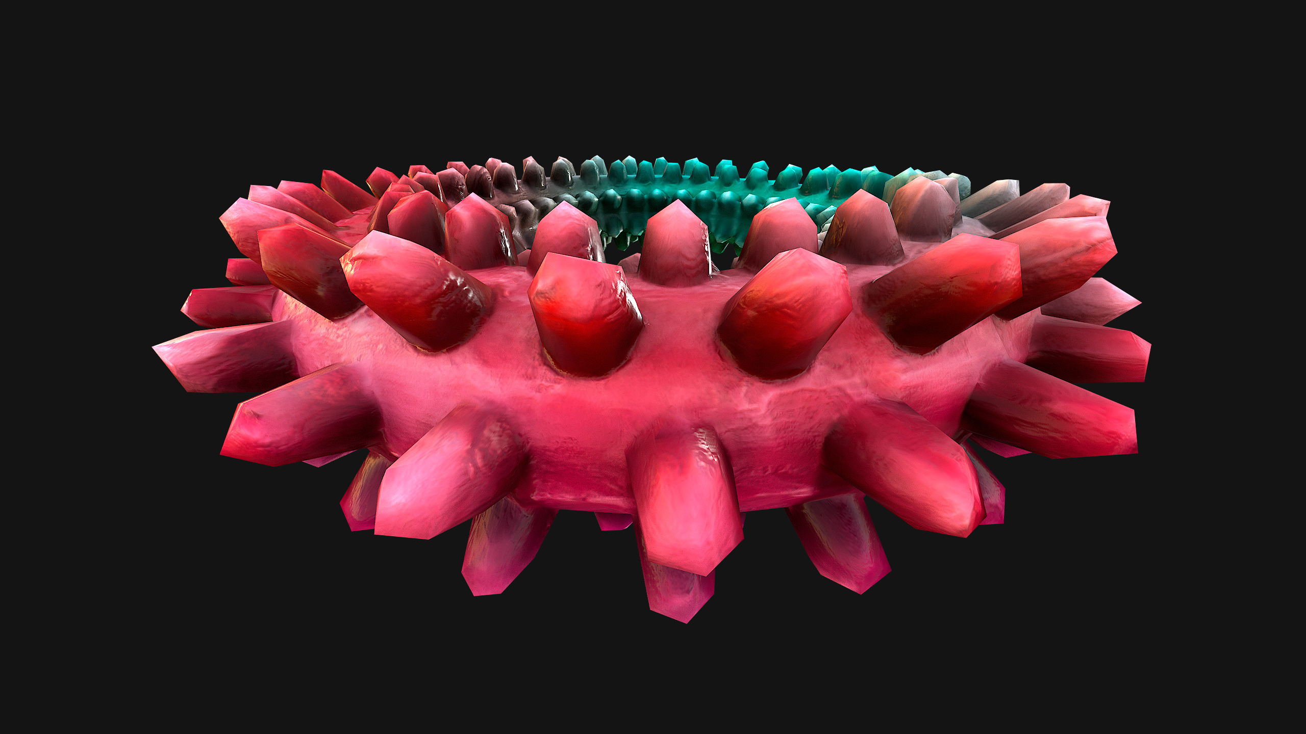 Pets Dogs Gnawing Toy Chew  Ring  Zoo Accessory Low-poly 3D model_25