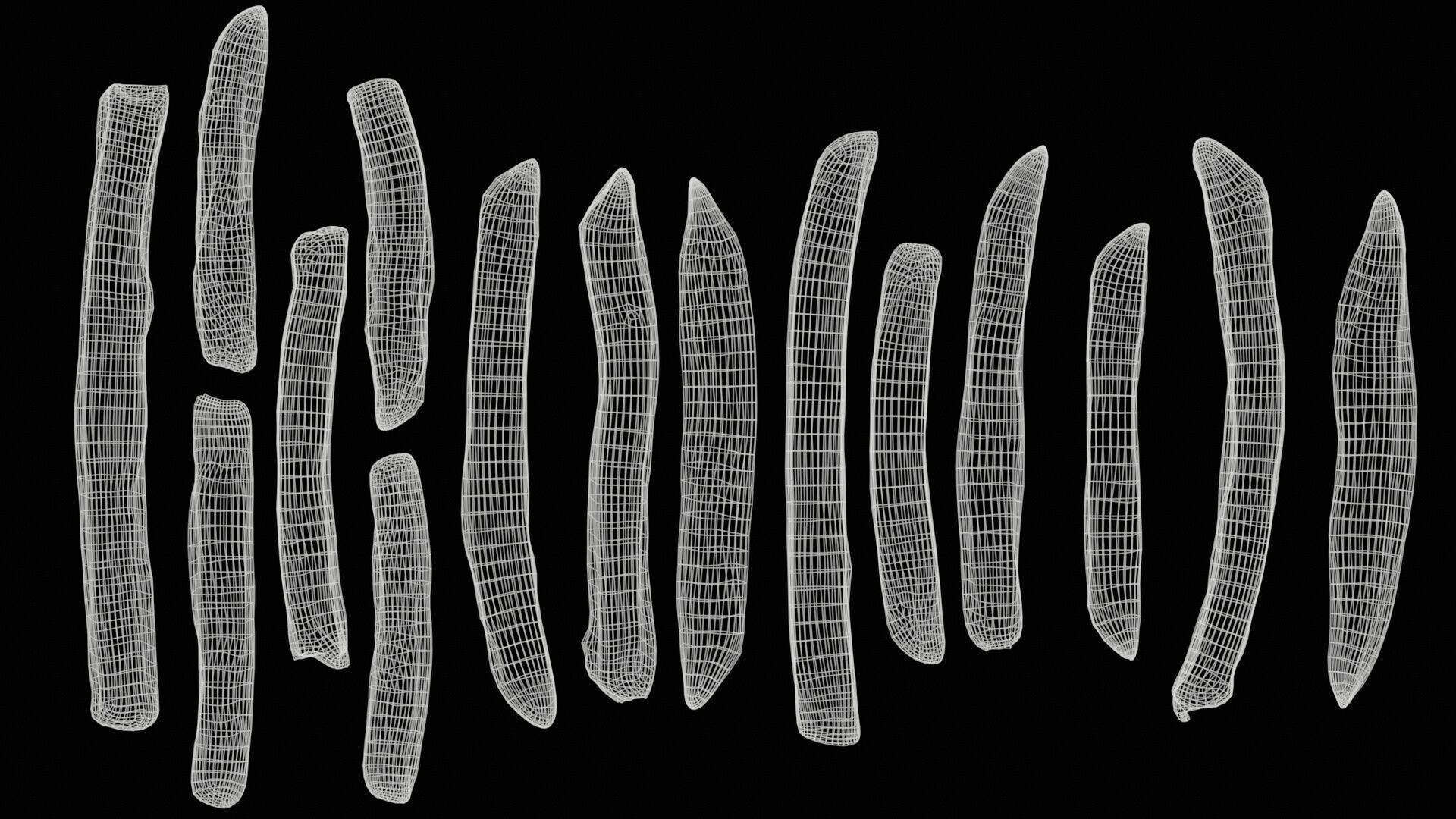 15 Fench Fries Blender Drop Simulation Script included Low-poly 3D model_5