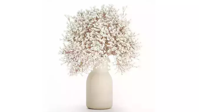 White Bouquet Dried Flowers Branches Gypsophila 567