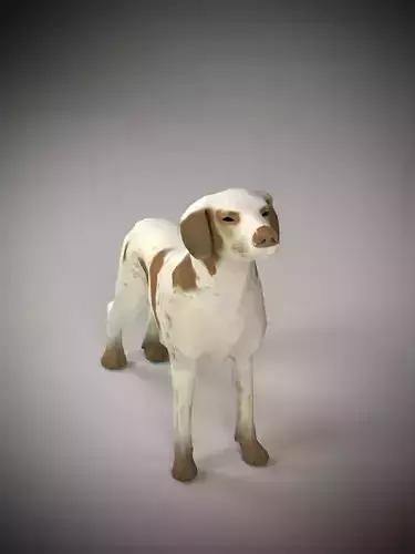 Realistic 3D Dog Model 3D model