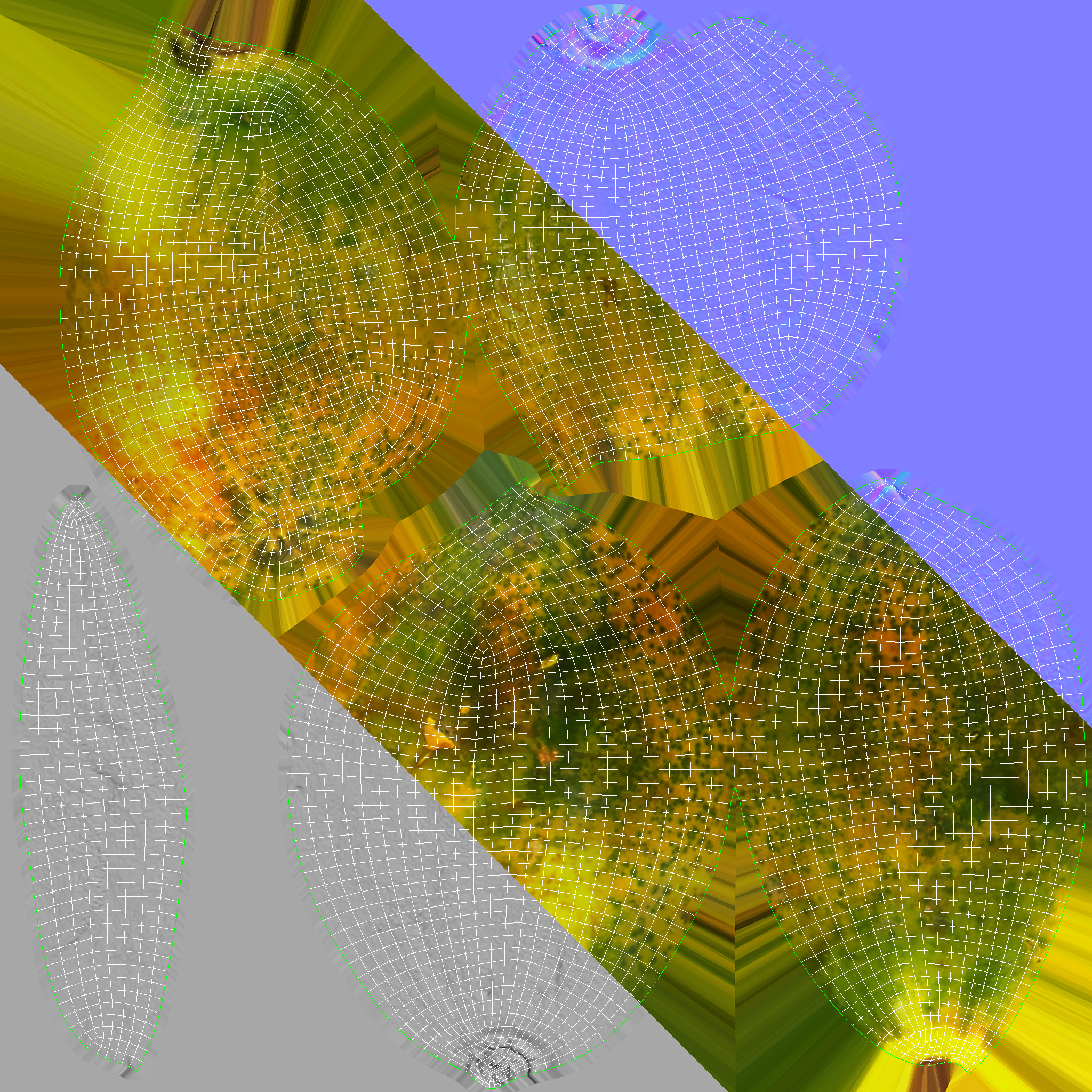 Papaya fruits Low-poly 3D model_15