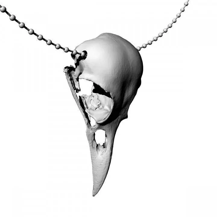 American crow skull necklace 3D model_0