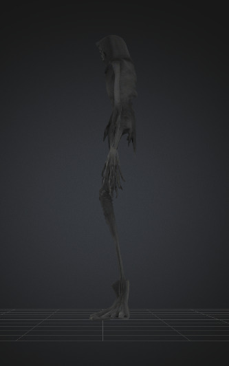 Alien from the Subconscious The Shadow of Fear Low-poly 3D model_1