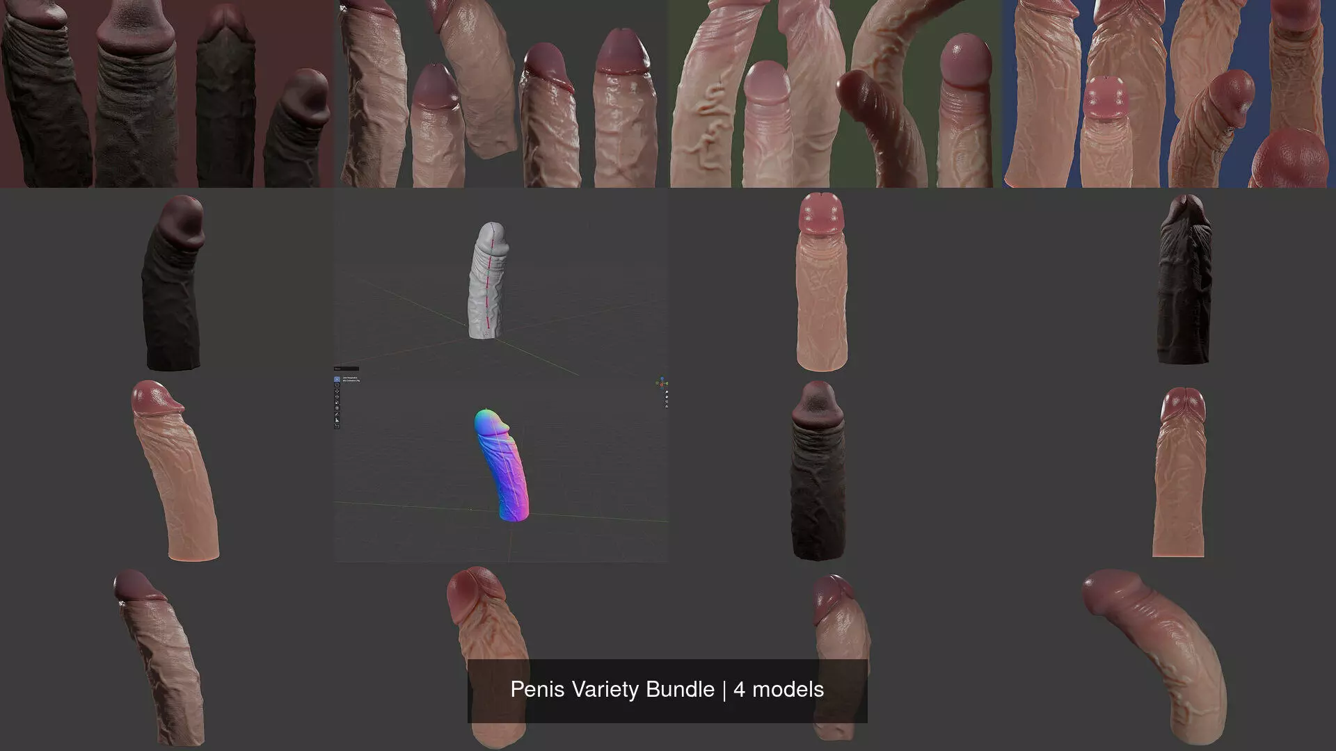 Penis Variety Bundle 3D Model Collection_1