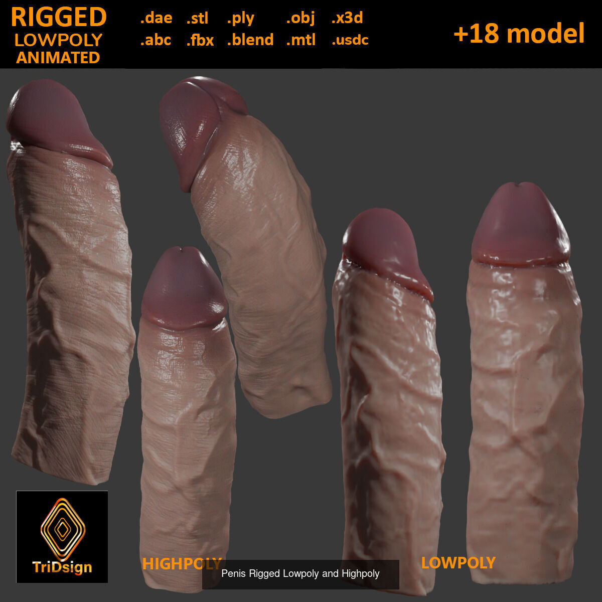 Penis Variety Bundle 3D Model Collection_6