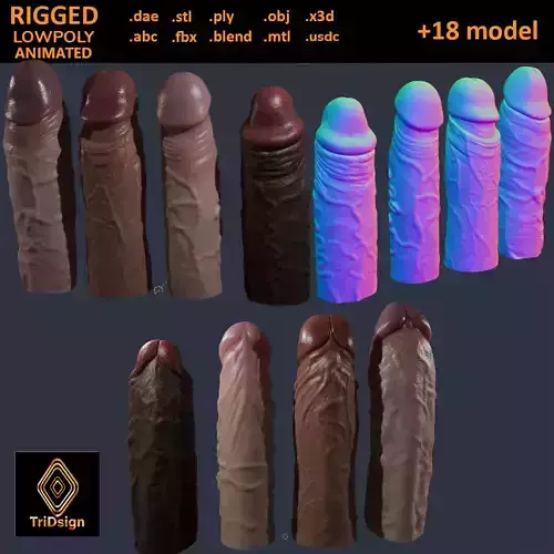 Penis Variety Bundle 3D Model Collection