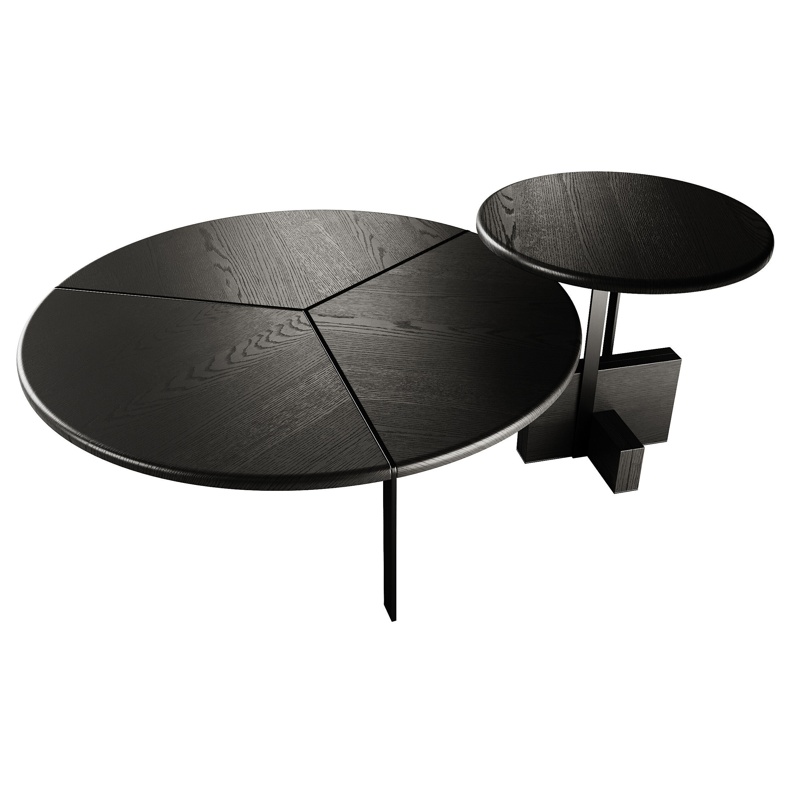 Joaquim Coffee Table by Tacchini 3D model_1