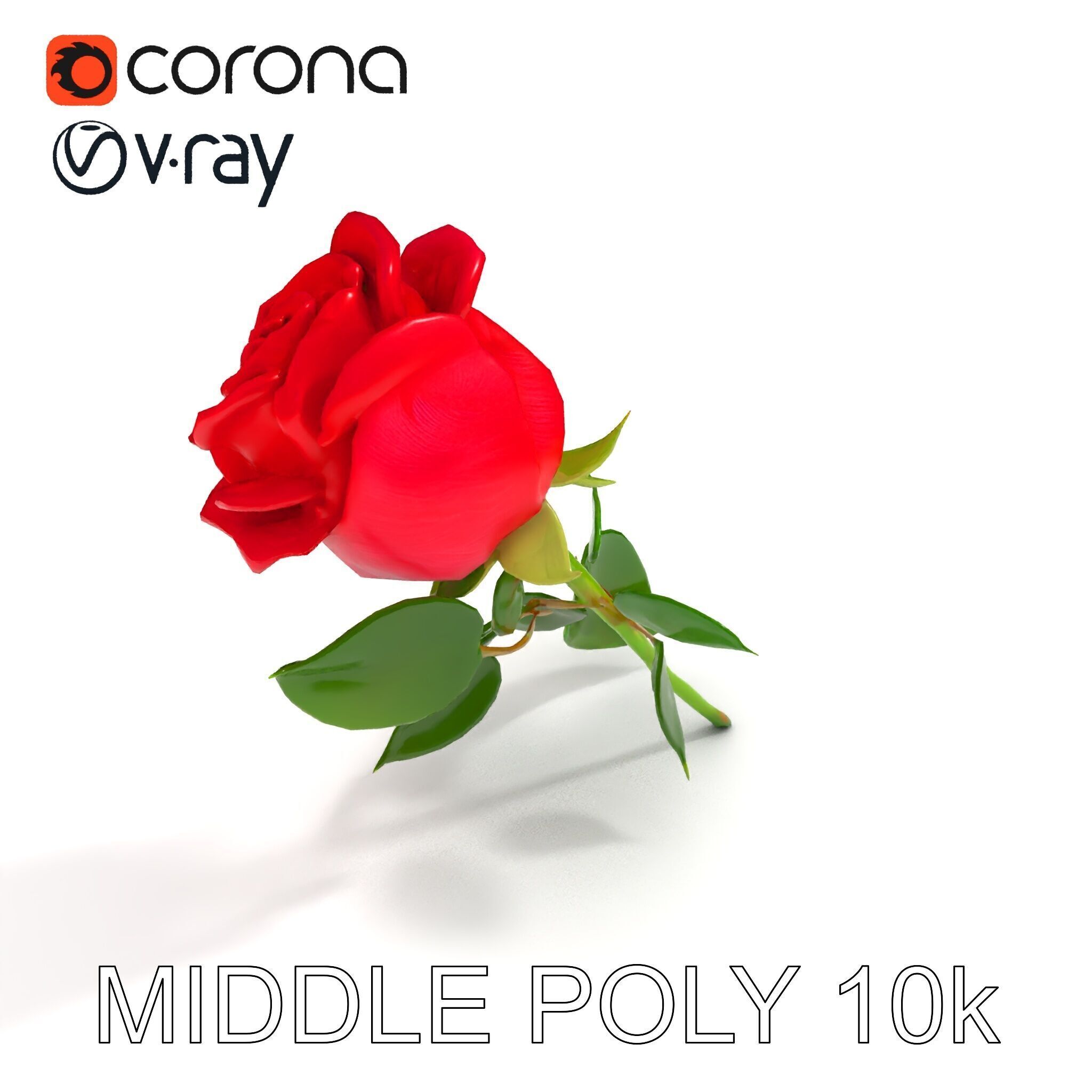 Realistic Red Rose D Model Pack Low-poly 3D model_32