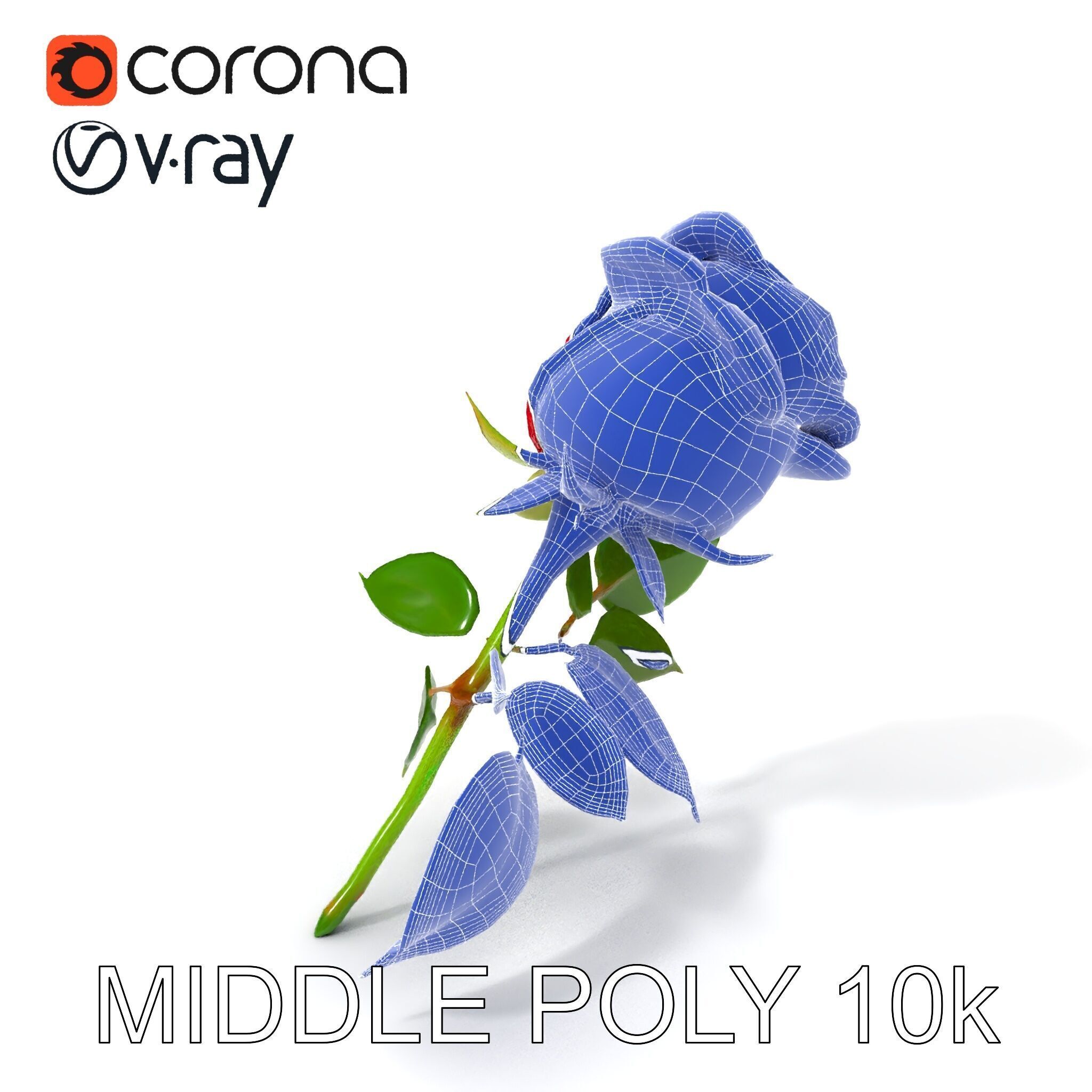 Realistic Red Rose D Model Pack Low-poly 3D model_22