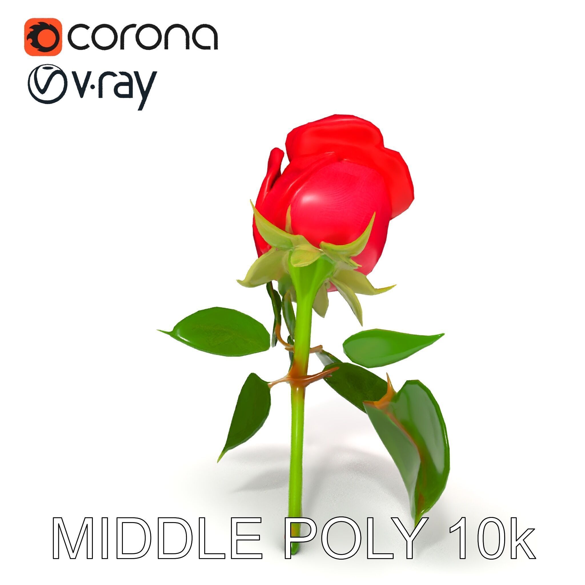 Realistic Red Rose D Model Pack Low-poly 3D model_9