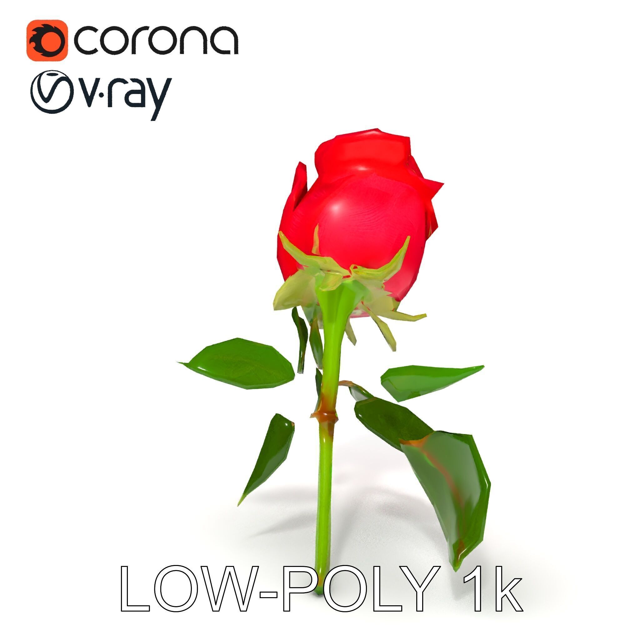 Realistic Red Rose D Model Pack Low-poly 3D model_20