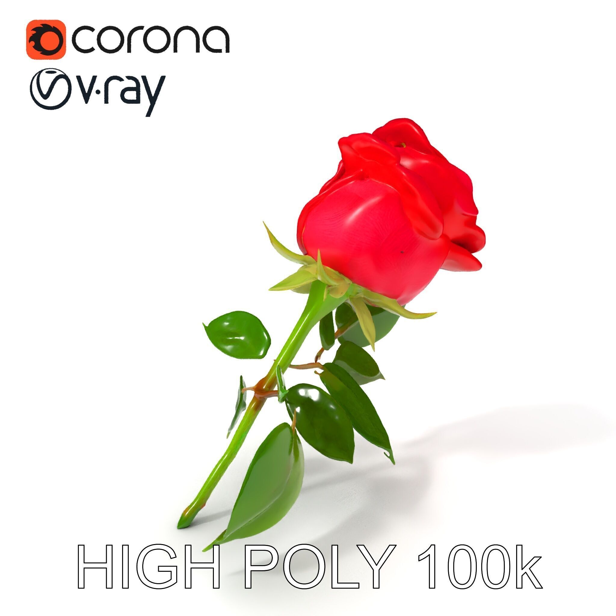 Realistic Red Rose D Model Pack Low-poly 3D model_3