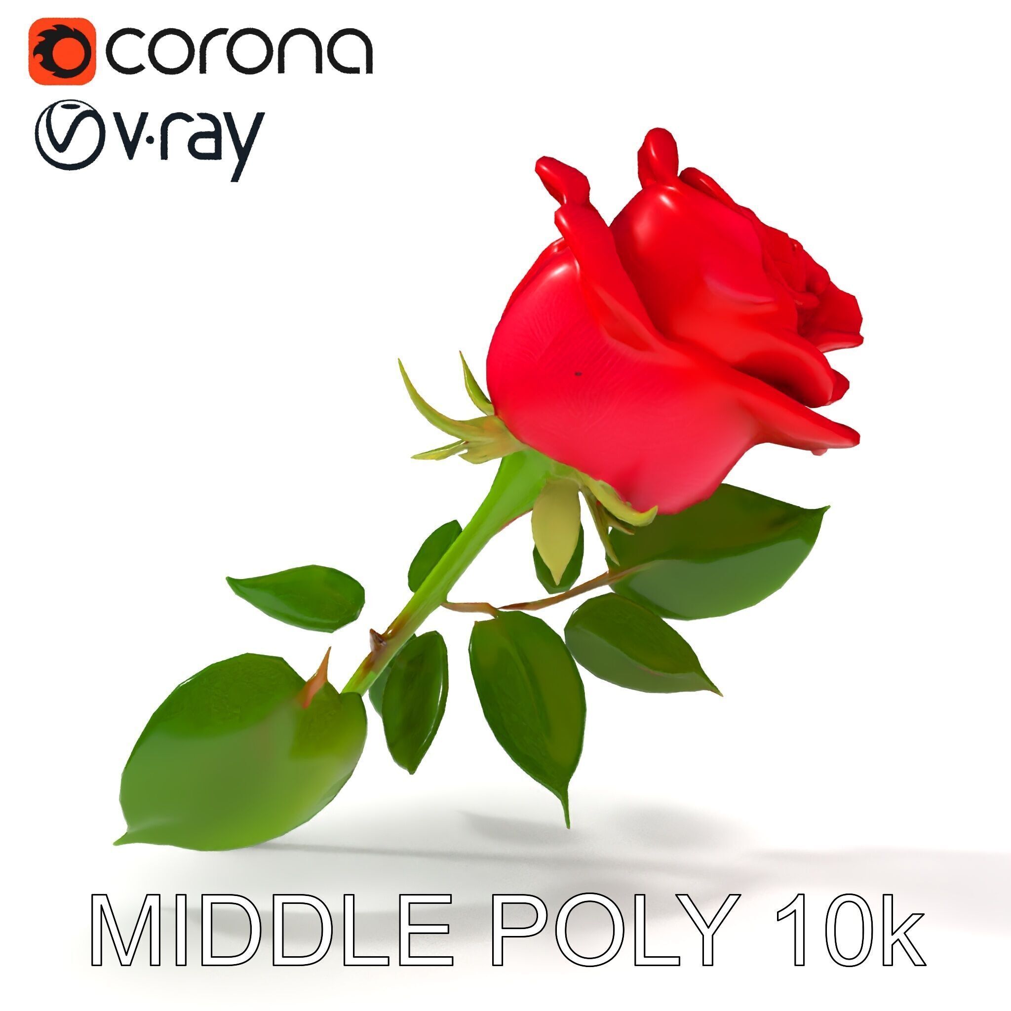 Realistic Red Rose D Model Pack Low-poly 3D model_19