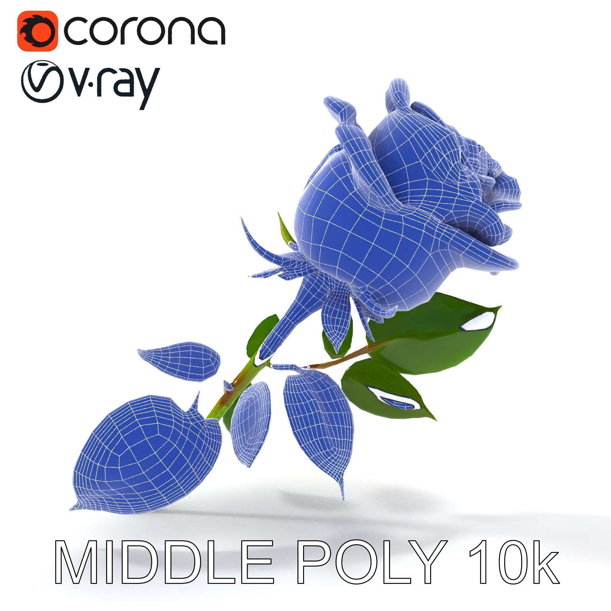 Realistic Red Rose D Model Pack Low-poly 3D model_16