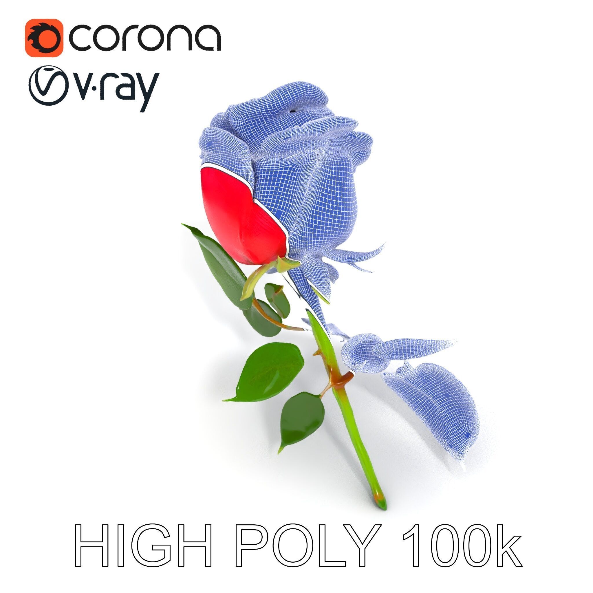 Realistic Red Rose D Model Pack Low-poly 3D model_21