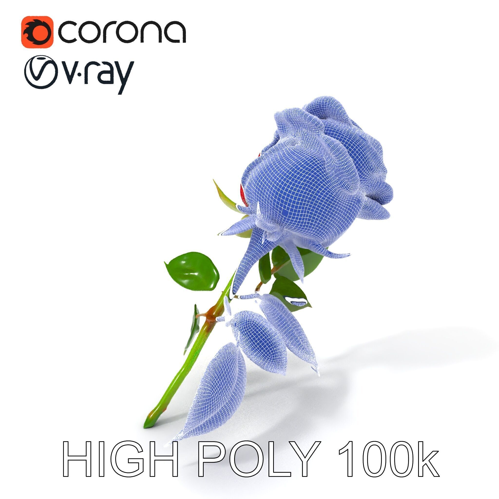 Realistic Red Rose D Model Pack Low-poly 3D model_4