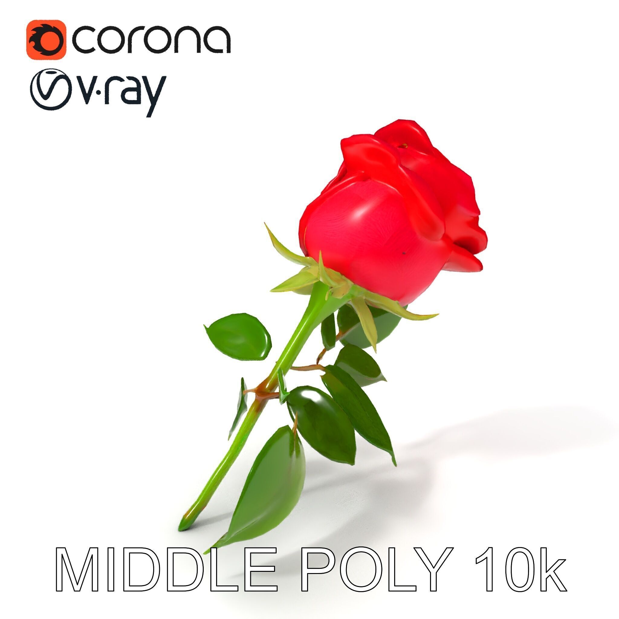 Realistic Red Rose D Model Pack Low-poly 3D model_6
