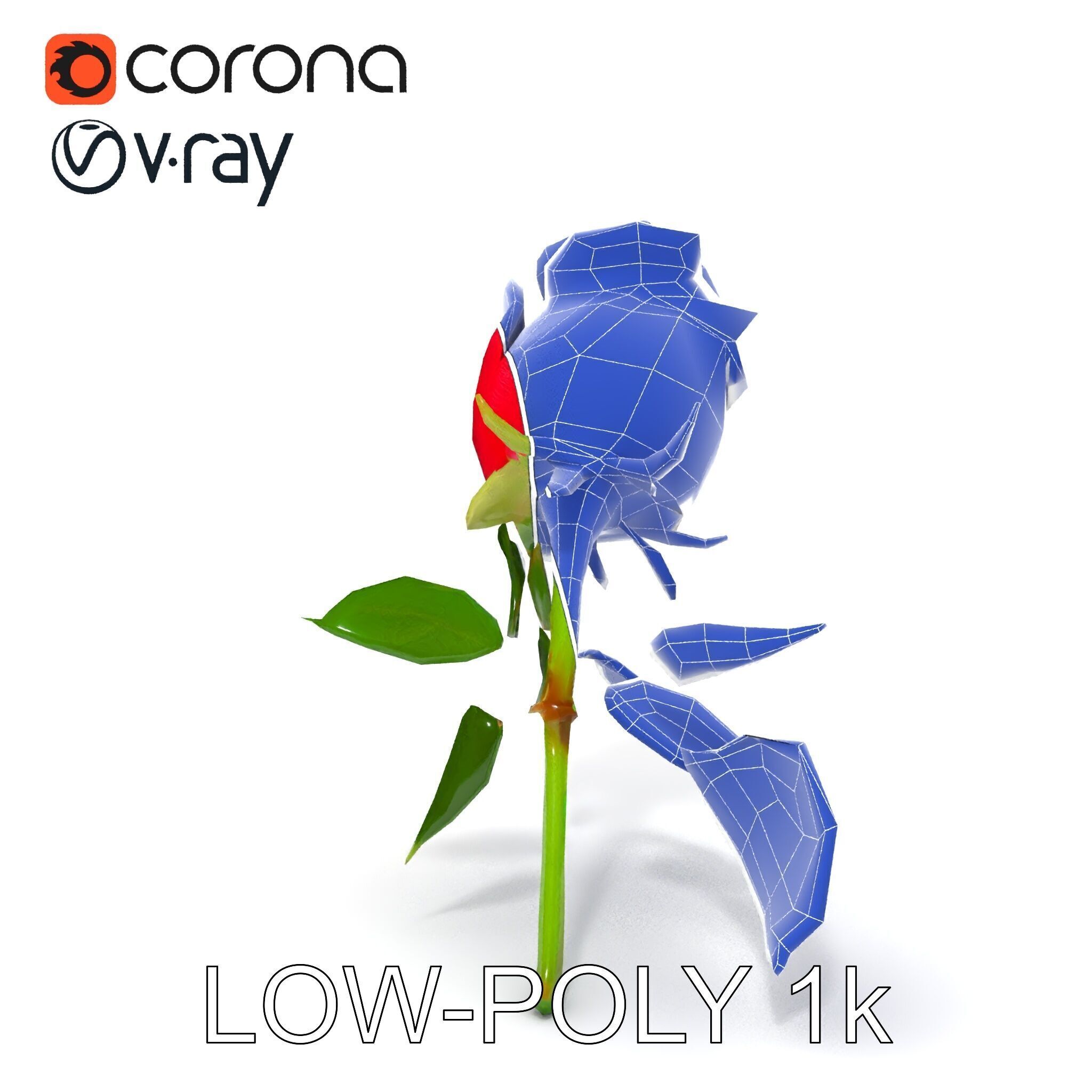 Realistic Red Rose D Model Pack Low-poly 3D model_23