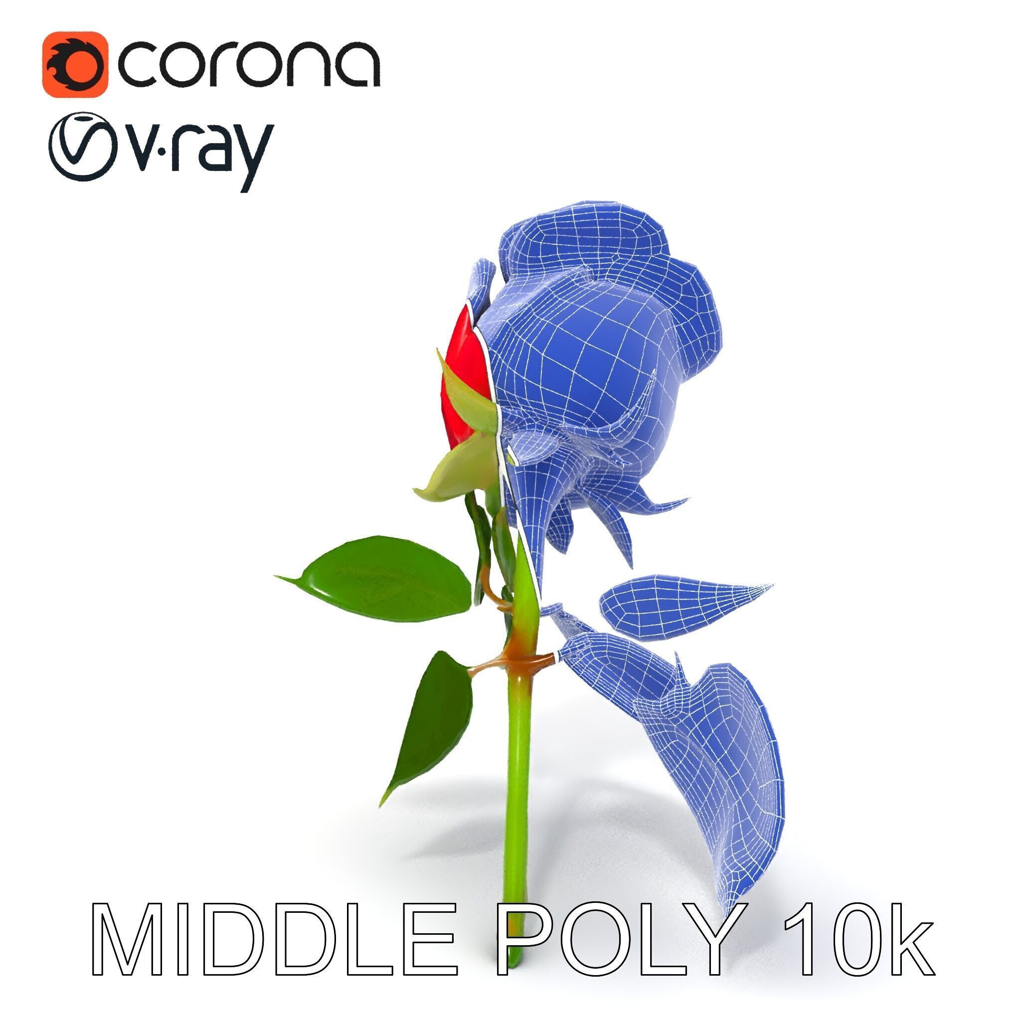 Realistic Red Rose D Model Pack Low-poly 3D model_13