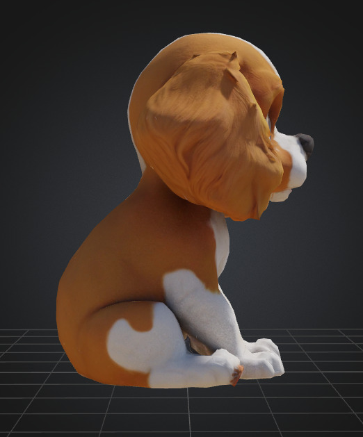 Dog Model - Cavalier King Charles Spaniel 3D model_1