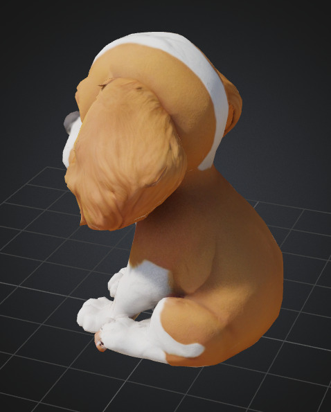 Dog Model - Cavalier King Charles Spaniel 3D model_4