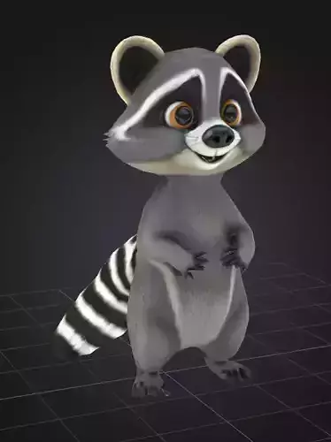 Cute Raccoon 