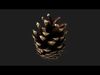 Photorealistic 3D scan of pine conifer cone Low-poly 3D model_1