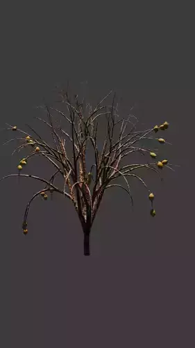 tree lemon