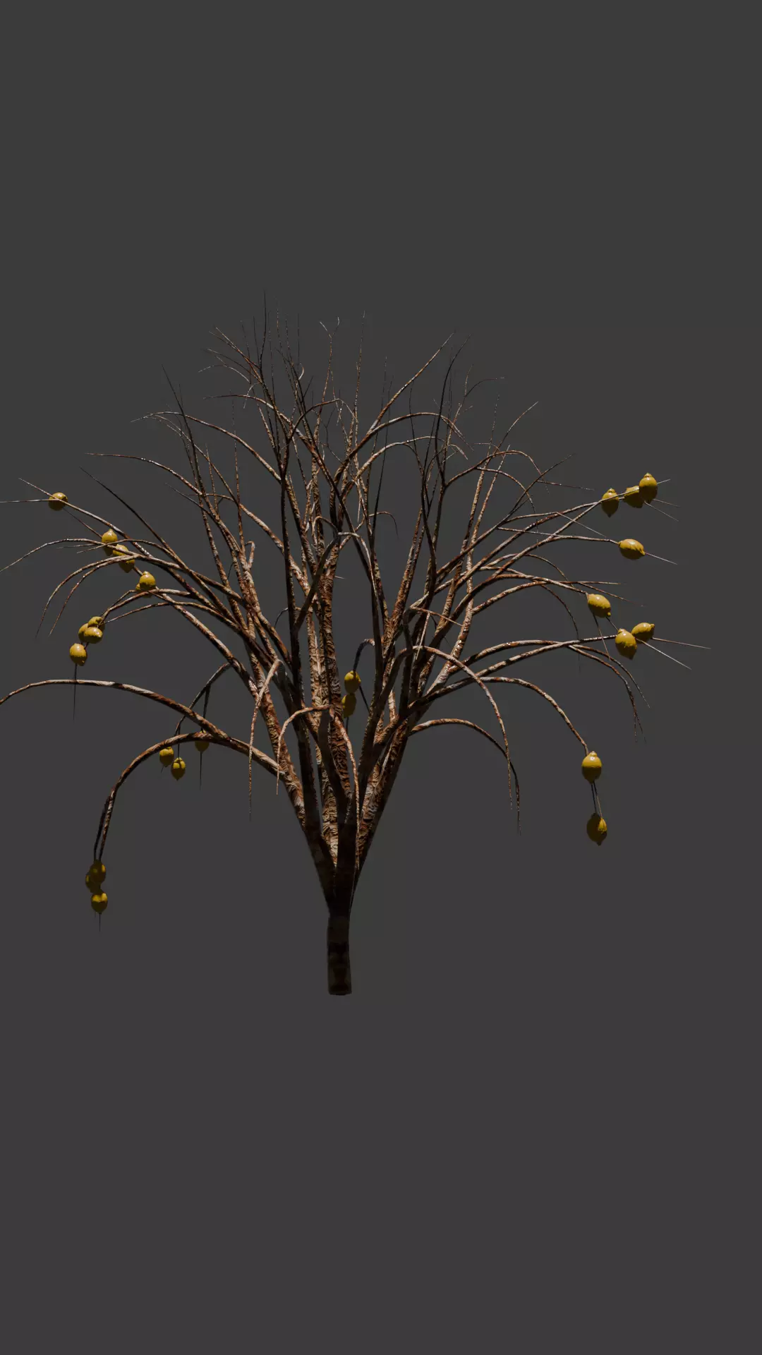tree lemon Low-poly 3D model_0